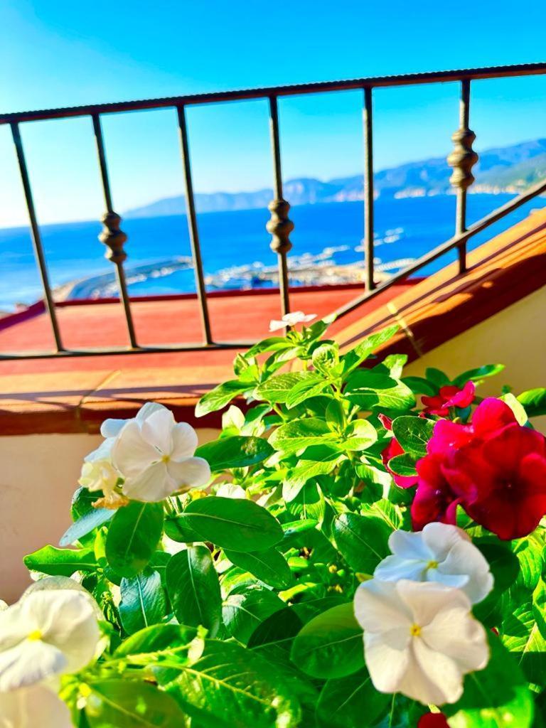شقة Cala Gonone House المظهر الخارجي الصورة